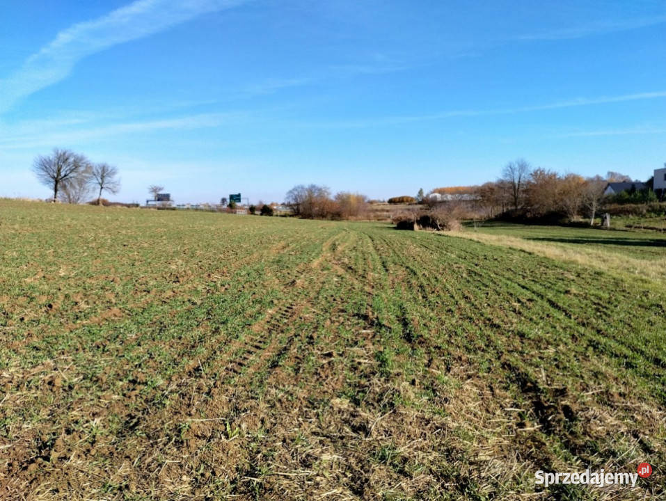 Sprzedam działka 1361m Marysin Sprzedaż