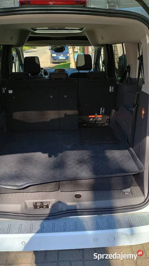 Ford Tourneo Connect nieuszkodzony