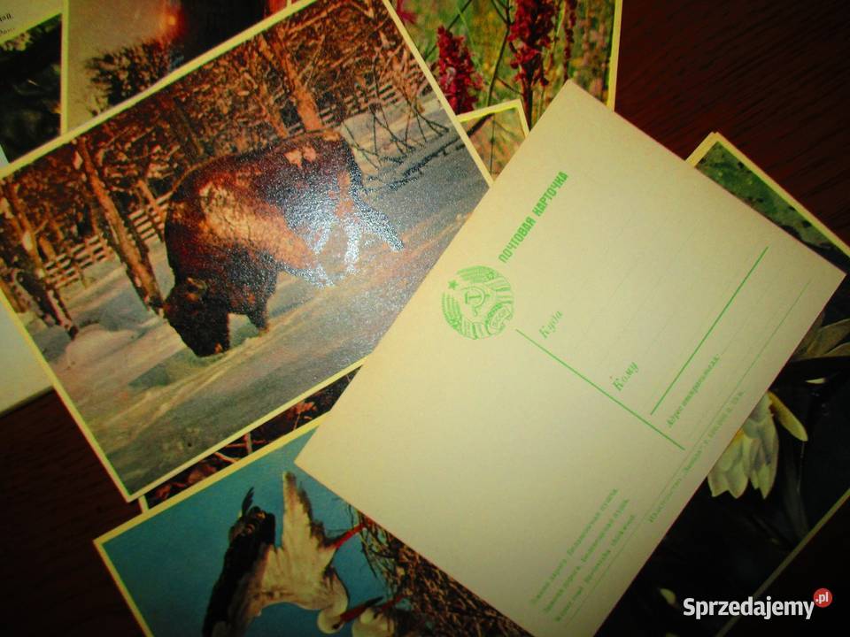 Bilety MPK Łódź Olsztyn bilety transport