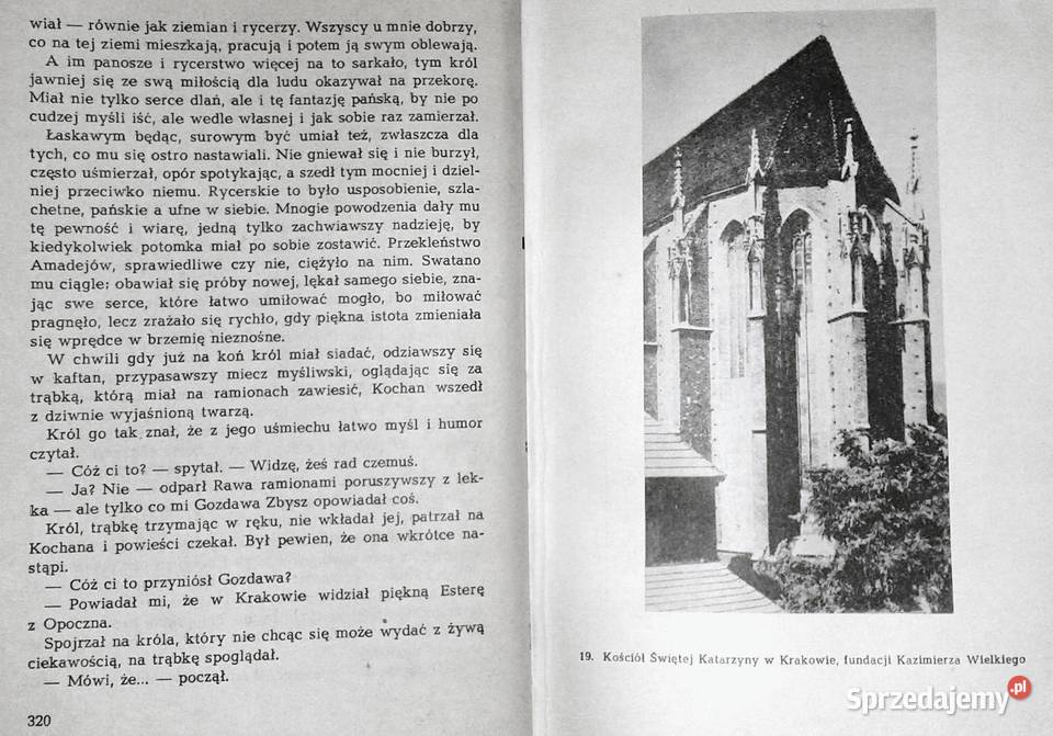 Król chłopów Czasy Kazimierza Wielkiego Józef lubelskie Chełm sprzedam