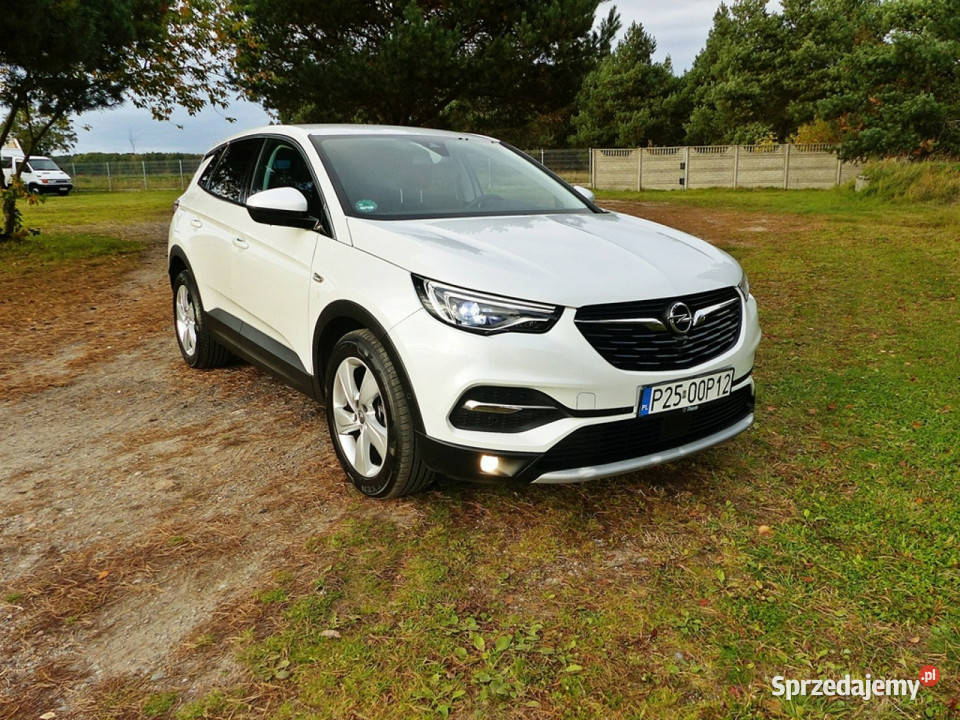 Opel Grandland X 15 Piła