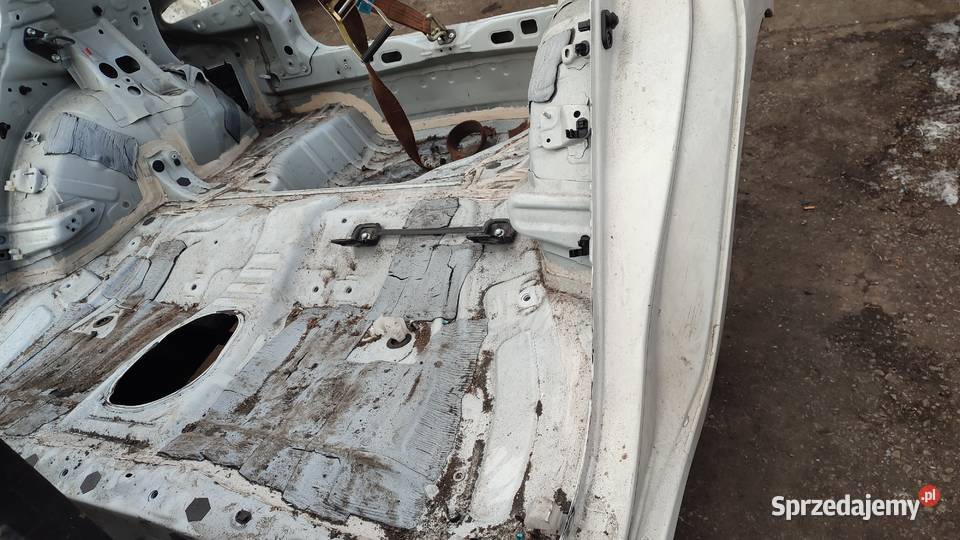 BLOTNIK PAS ĆWIARTKA PODŁUŻNICA PRAWA LEWA TYŁ świętokrzyskie