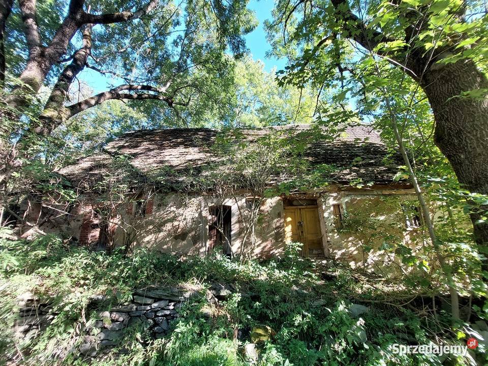 KOMARNO działka 547 pow 01689 ha gmina Janowice
