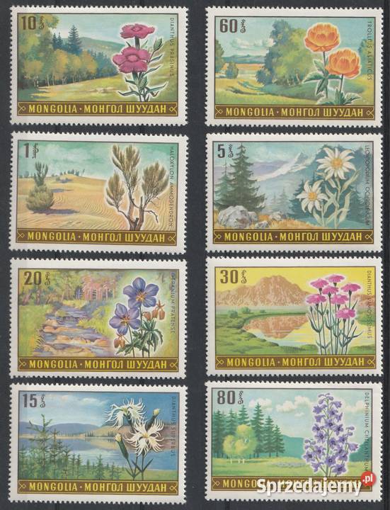 MONGOLIA KWIATY POLNE CZYSTE Łódź sprzedam