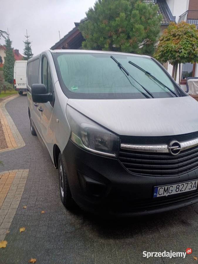 Vivaro long 120KM Mogilno sprzedam