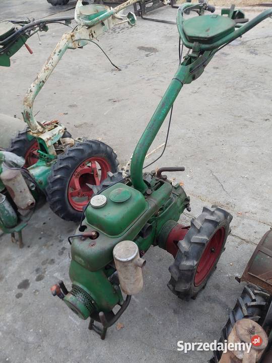 Glegogryzarki Agria pakiet 5 Grabów nad Prosną