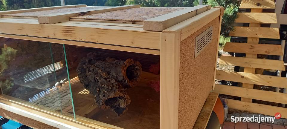 Żółw grecki i piękne terrarium Opole