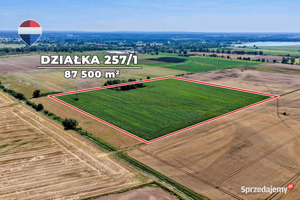 Na sprzedaż grunty orne RIIIa 875 ha Stary Raduszec