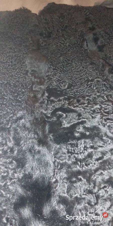 Futro płaszcz czarne czarny z karakułów karakuły czarny Wilga