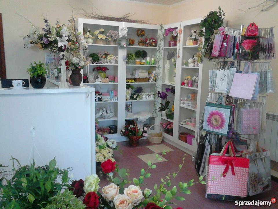 Sprzedam pełne wyposażenie kwiaciarni od ulicy Truskolasy
