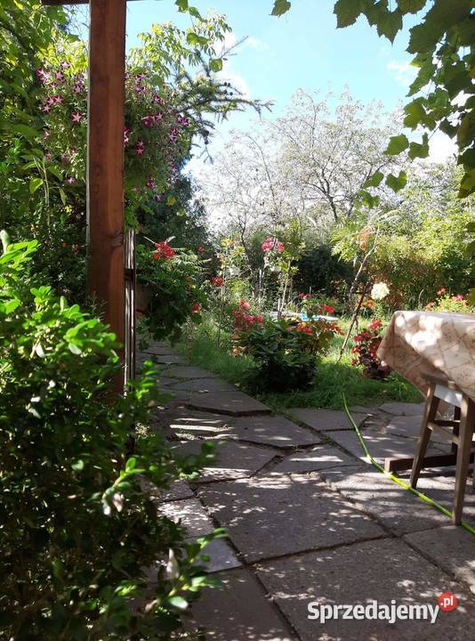 Sprzedam działkę ROD mazowieckie