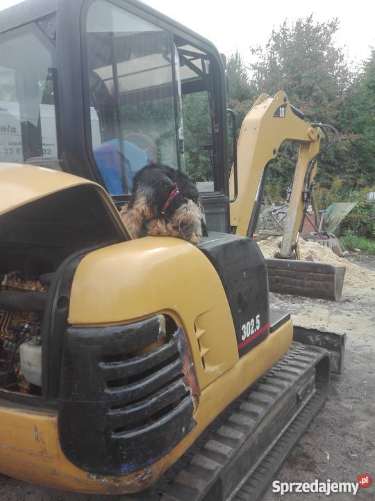 Cattepilar 3025 Rok produkcji 2005 świętokrzyskie Węglów