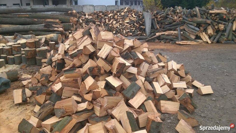 Drewno kominkowe buk