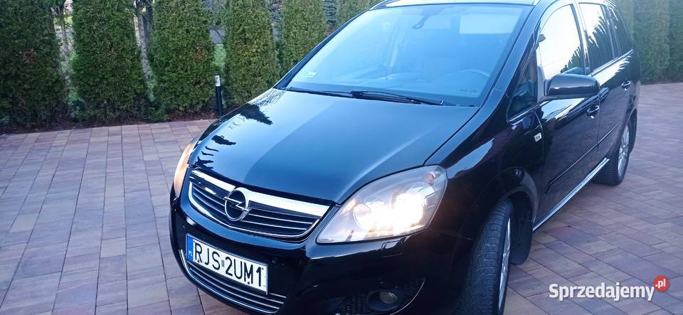 Zafira b Zafira Brzyska