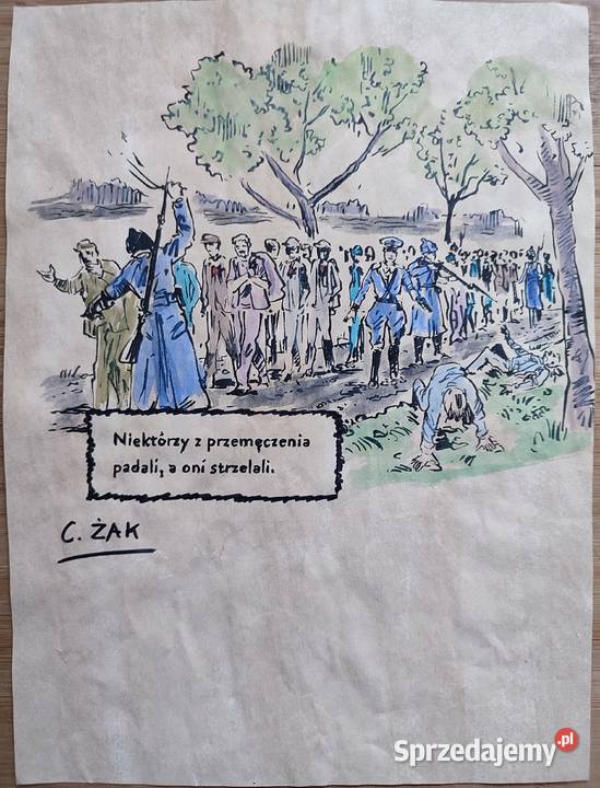 Rysunek sygnowany C ŻAK Warszawa