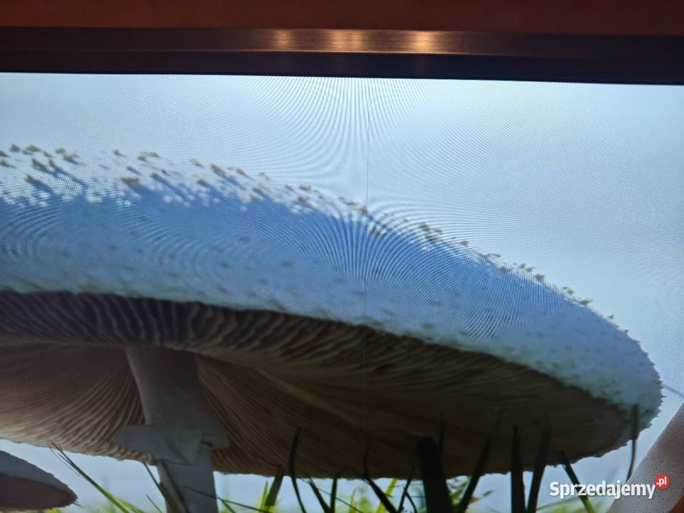 Telewizor LG 75UV341C 75 Elektronika Świdnik