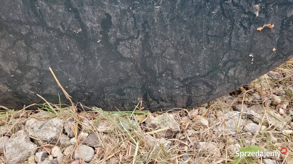 Drzwi Renault Laguna I Drzwi Łagów