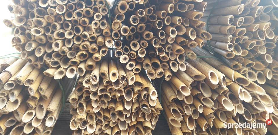 Sprzedam kokony Murarki ogrodowej i trzcinę Biała Rawska