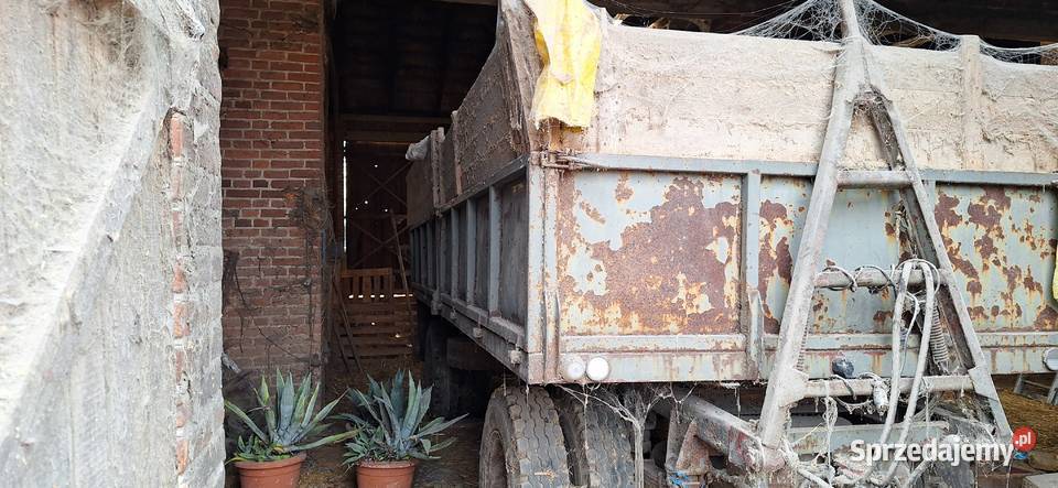 Przyczepa d83 lubelskie Jastków