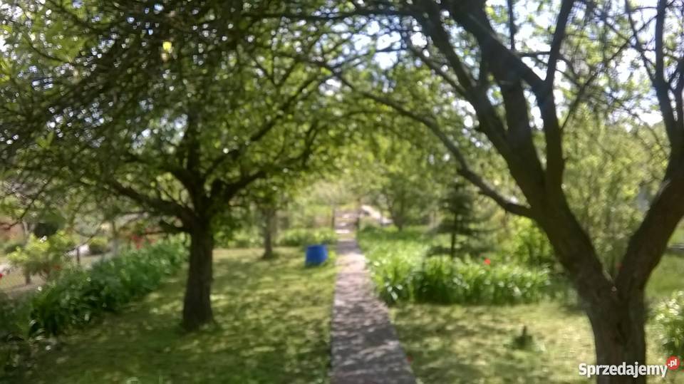 Działka rekreacyjna ROD Przybyszewskiego 460m2 siatka Toruń sprzedam