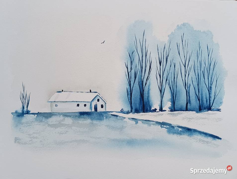 Akwarela Akwarelka Obraz pt Samotność 31x23 Gdańsk sprzedam