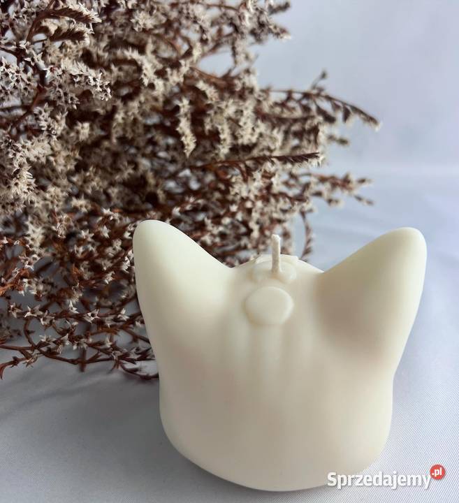 Swieca sojowa magiczny kot kotek handmade Rzeszów