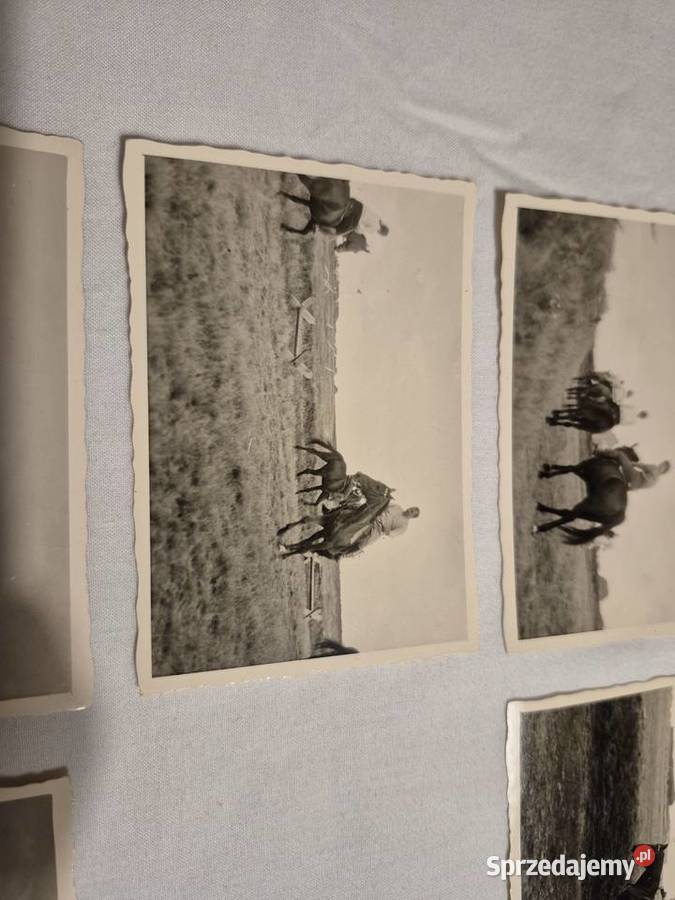 Fotografie Hermann Gring Reichsmarschall małopolskie Brzesko