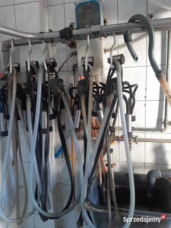 dojarka przewodowa westfalia Pozostałe Wólka Złojecka