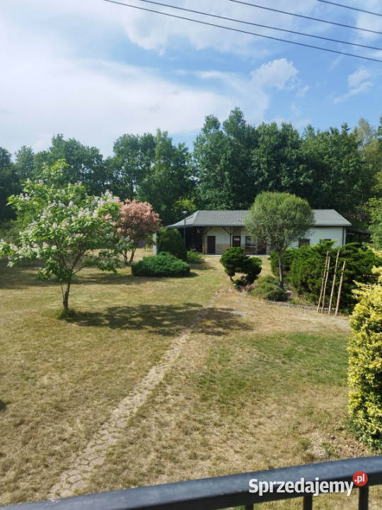 dom budynek gospodarczy działka 8000 m2 Korzeniówka