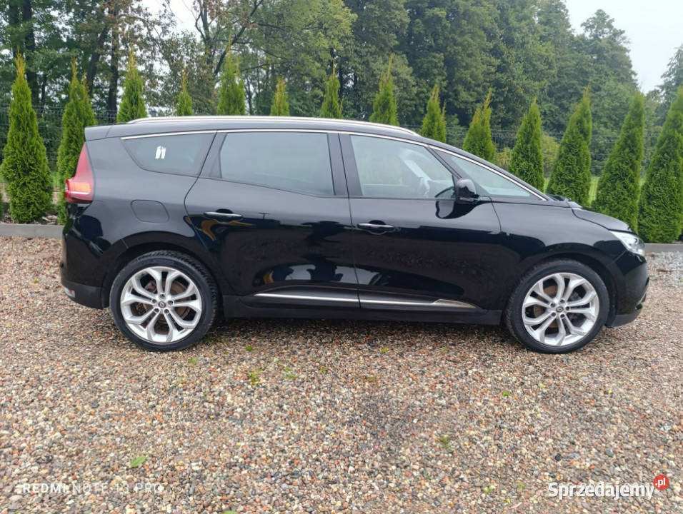 Renault Grand Scenic 7 osob 15dci 88000 III nieuszkodzony wielkopolskie Pleszew