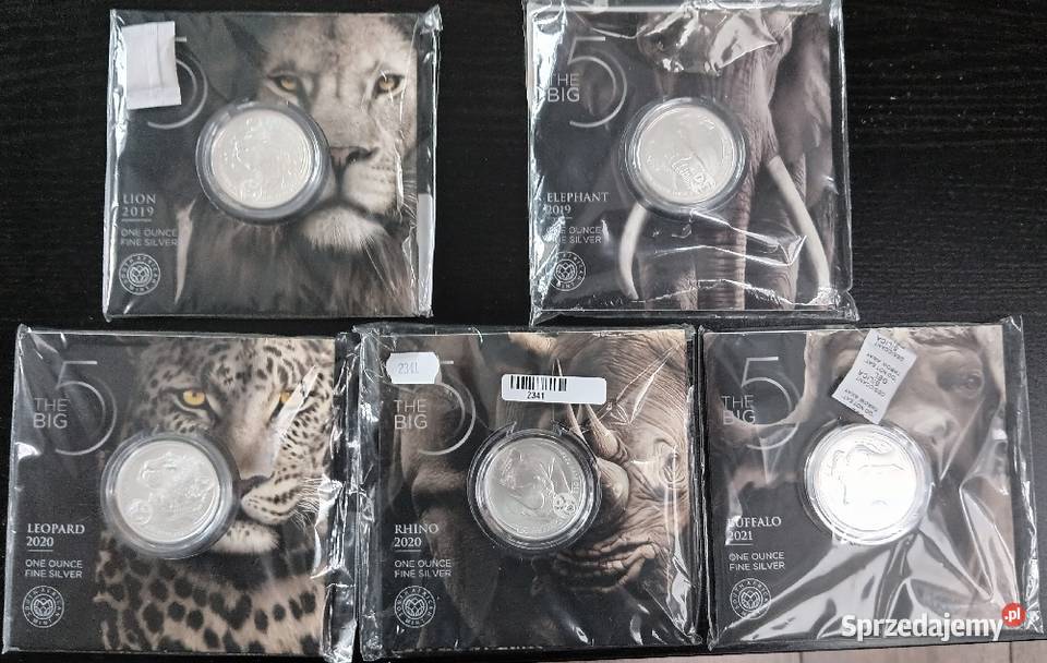 Big Five I seria Rhino Bawół Olkusz sprzedam