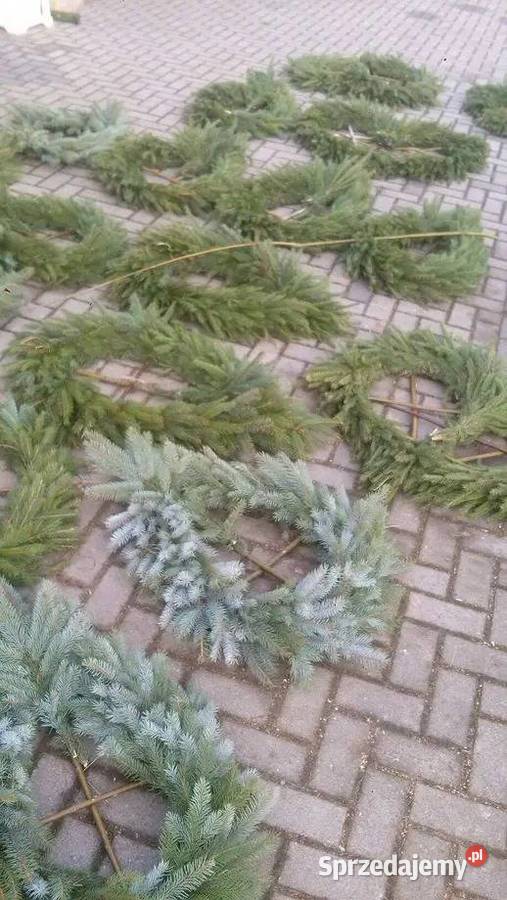Podkłady pod wieńce pogrzebowe żywe świerksosna Myślibórz