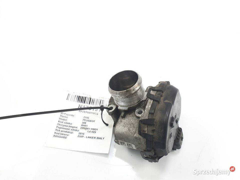 PRZEPUSTNICA PEUGEOT 308 9807238580 Lipno