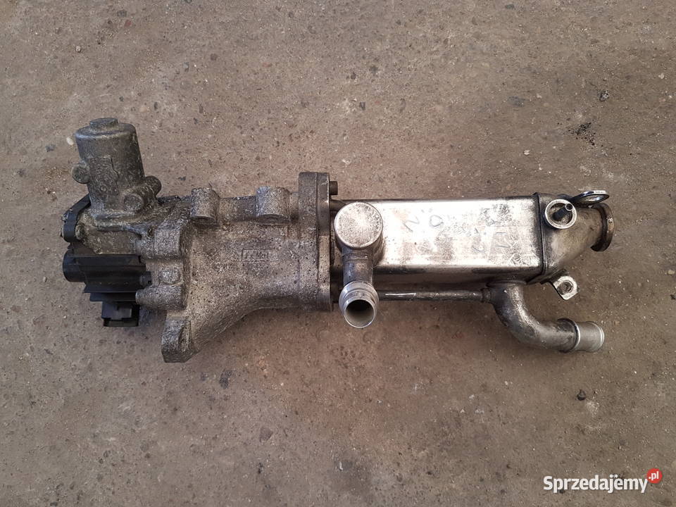 CITROEN 20 HDI FORD 20 TDCI CHLODNICZKA EGR Turek sprzedam
