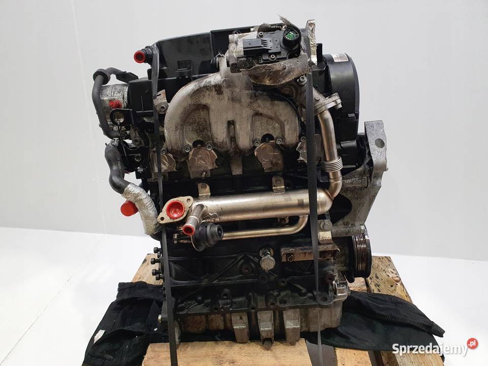 SILNIK BLS VW Passat B6 Golf V Touran Jetta III osobowe lubelskie Rudka sprzedam