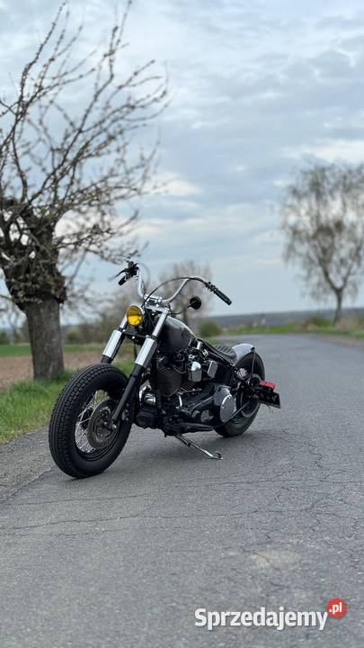 Harley Davidson heritage bobber dolnośląskie Głogów