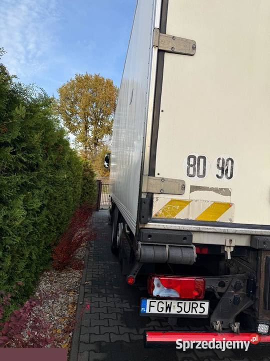 MAN TGX 26440 324 Chłodnia 2009r bezwypadkowy bezwypadkowy Janczewo