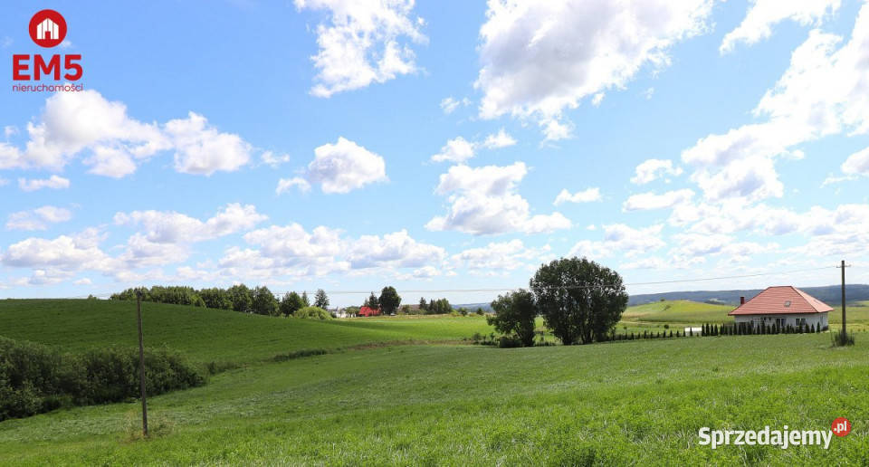 Działka do sprzedania Olszanka 3003m2