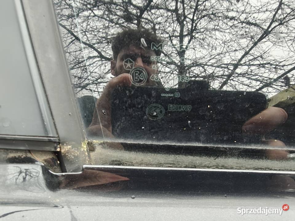 Tylne drzwi oryginalne Dodge Charger 14 Gostyń