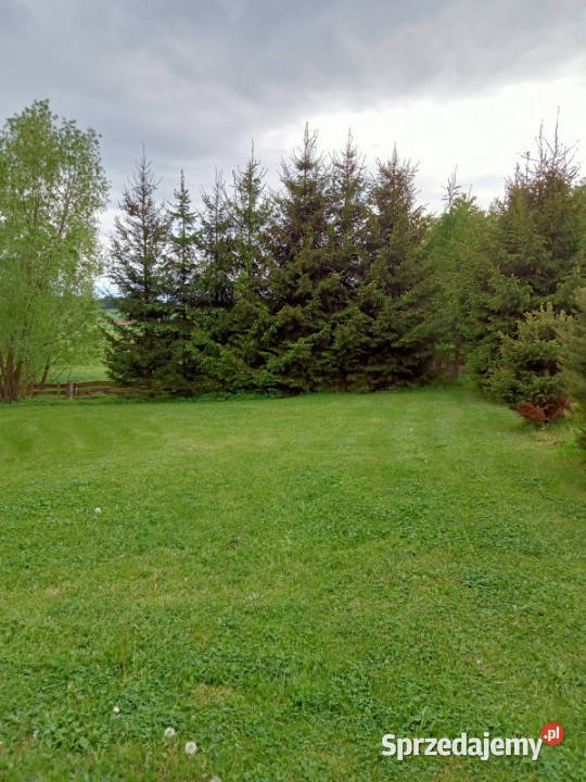 Sprzedam działkę obok PolanicyZdrojuSUDETYGORY Niwa