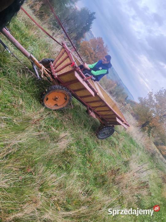 Sprzedam wóz konny wasąg małopolskie Łęka