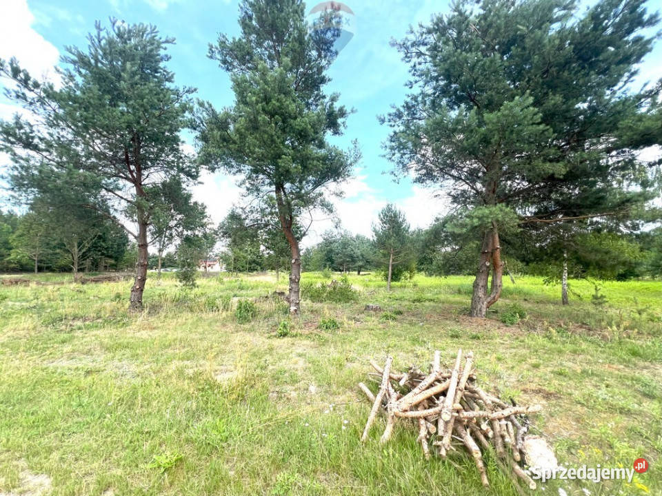 Działka budowlana 1000 m lesie Wincentówek
