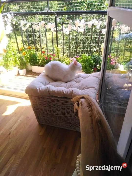 Sprzedam bezpośrednio cudowne mieszkanie na balkon Warszawa