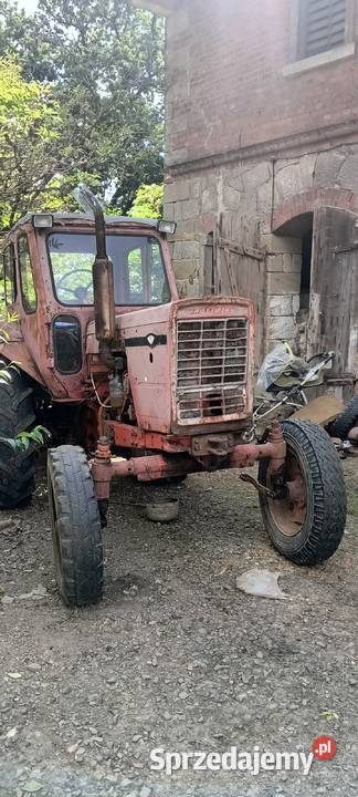 Mtz 50 Białoruś dolnośląskie Olszyna Dolna