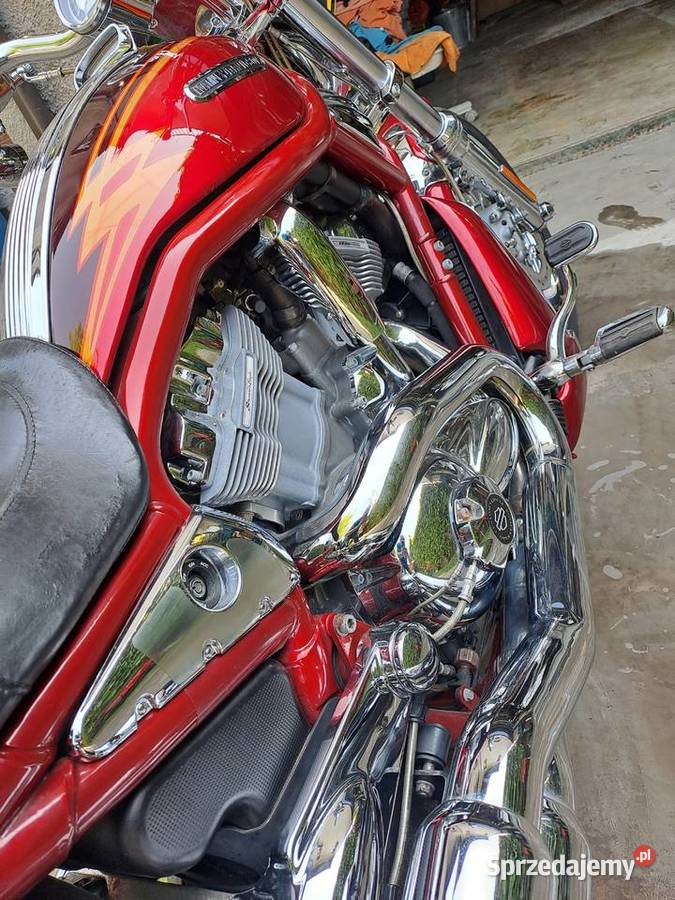 HARLEJ DAVIDSON V-ROD VRSCSE
