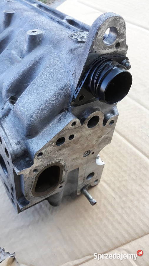 VW SKODA AUDI Głowica 19 tdi 038103373R wielkopolskie Bukownica