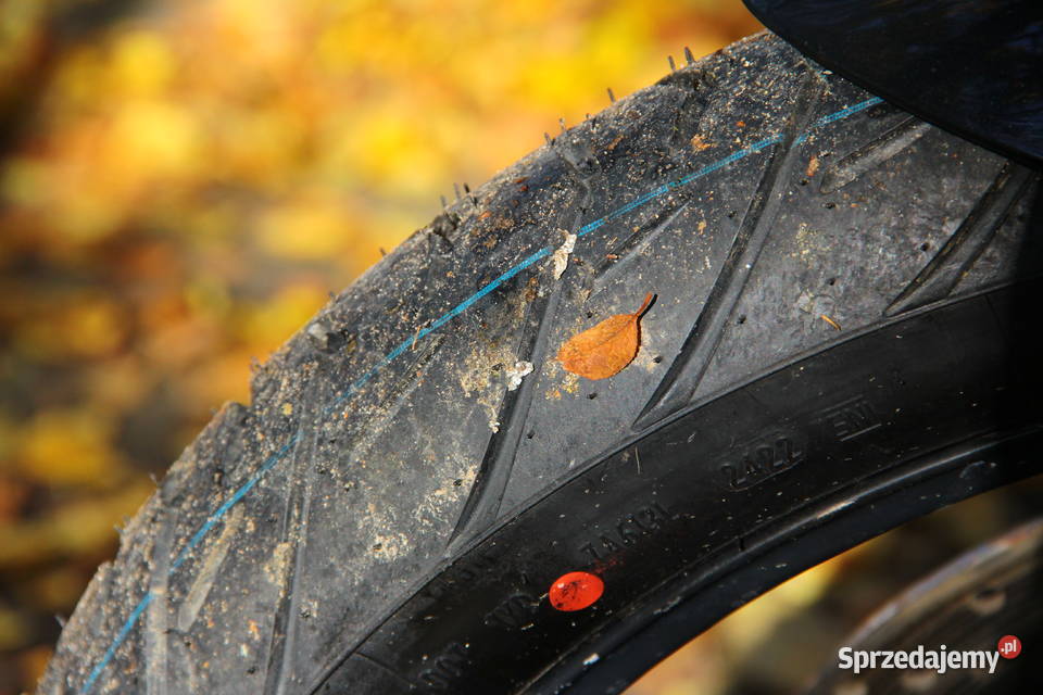 Triumpt Tiger 800XRx pomorskie Gniew