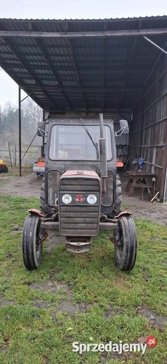 Massey Ferguson MF 235240 łódzkie Dąbie