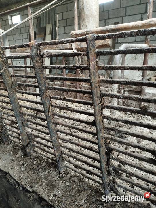 Kraty obrotowe bydła Bydło mleczne Rajgród