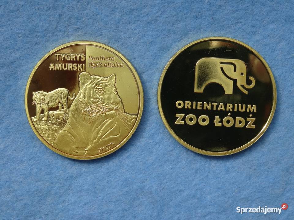 Złota Polska Zoo Orientarium Łódź Tygrys amurski